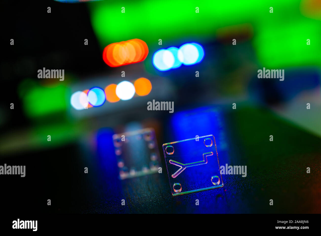 Organe-sur-puce (OOC) - dispositif microfluidique puce qui simule les organes biologiques c'est le type d'organes artificiels. Conception de prototypes de laboratoires sur puce Banque D'Images