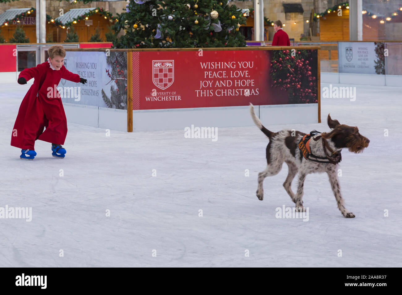 Winchester, Hampshire, Royaume-Uni. 20 novembre 2019. Les choristes le patinage sur la patinoire naturelle de leurs robes rouges emblématiques à la cathédrale de Winchester les fêtes de Noël avec la tradition festive des choristes skating autour de la patinoire d'avance sur son ouverture demain. La patinoire fait partie de la cathédrale de Winchester, marché de Noël, un des plus grands dans le pays. Credit : Carolyn Jenkins/Alamy Live News Banque D'Images