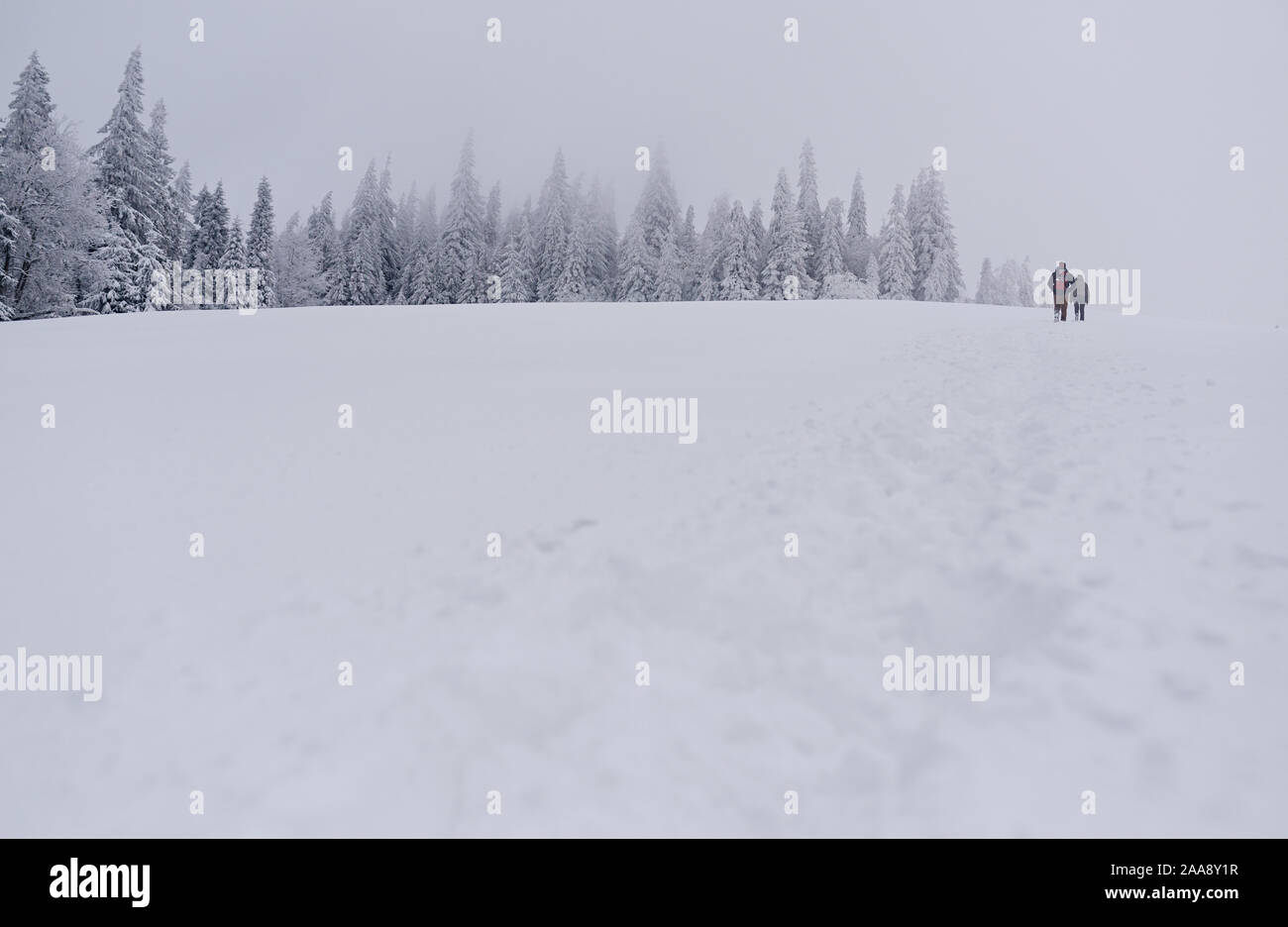 Couple hiking au moyen d'un champ couvert de neige en hiver Banque D'Images