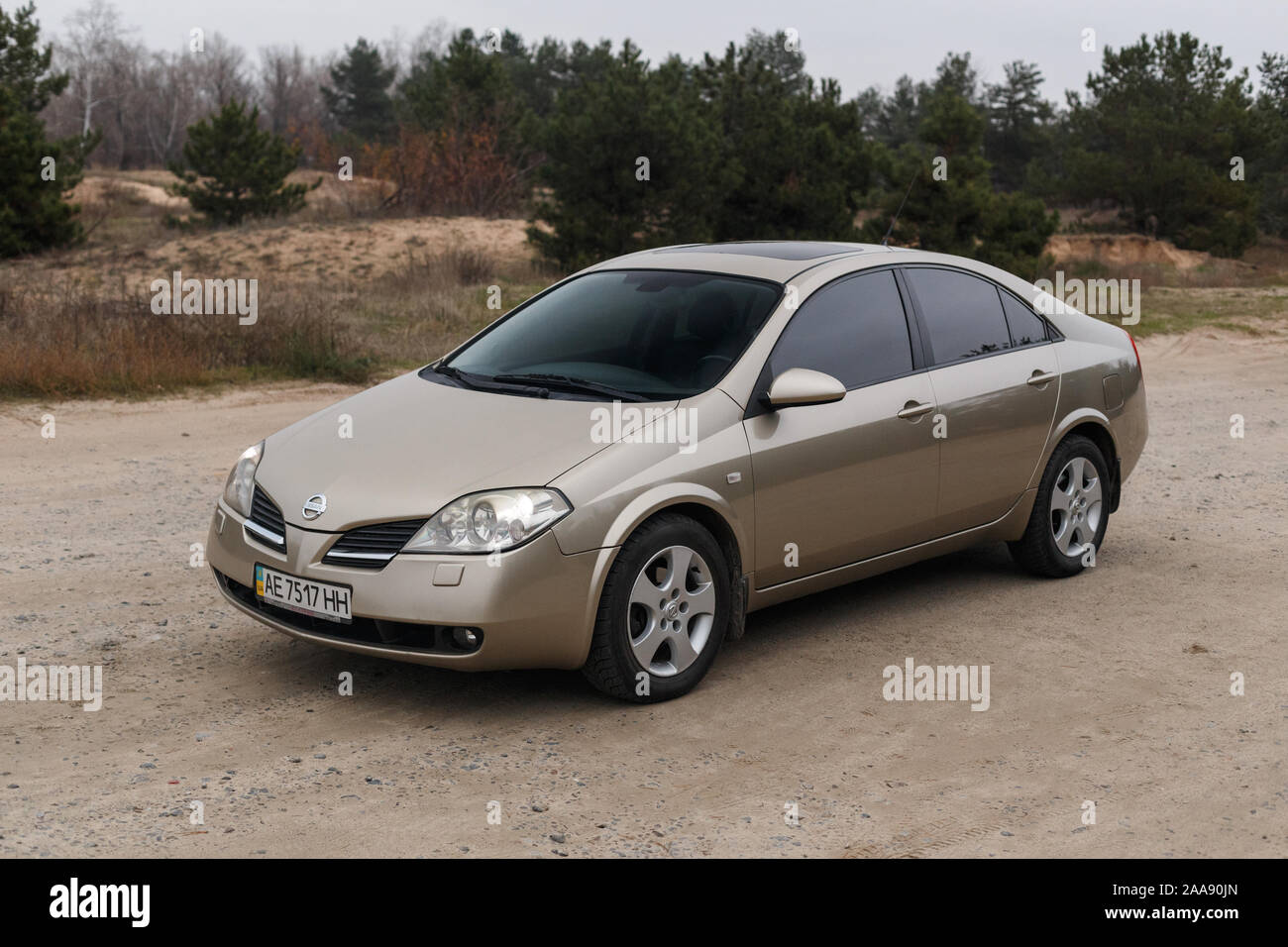 Dniepr, l'UKRAINE - 16 novembre, 2019 : NISSAN PRIMERA 2002, la couleur d'OR, LE PARKING DANS LA FORÊT, ARRÊT DE VOYAGE Banque D'Images