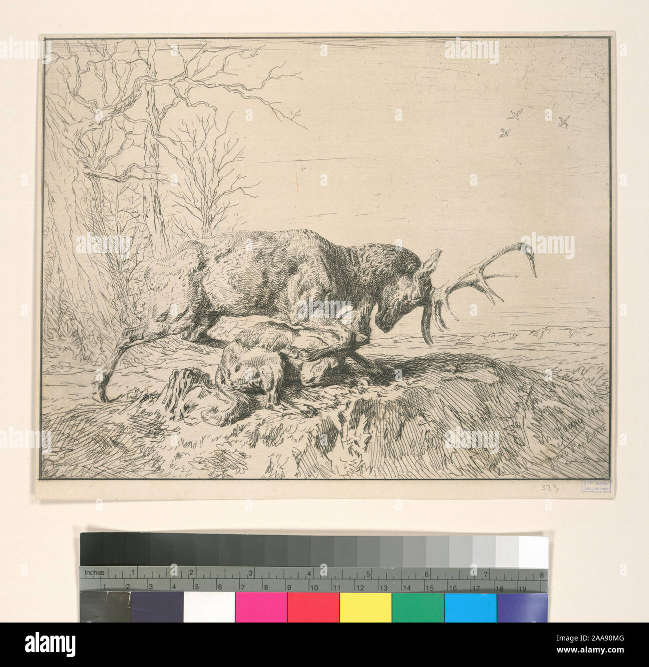 Holdings contrôlés à l'exemplaire de l'Oeuvre de Ch. Jacque catalogue de ses eaux-fortes et pointes sèches / dressé par J.J. Guiffrey. Fait partie d'eaux-fortes et pointes sèches par Charles Jacque dans Samuel Putnam Avery Collection. Citation/Référence : G323 ; Cerf, d'après Barye. Banque D'Images