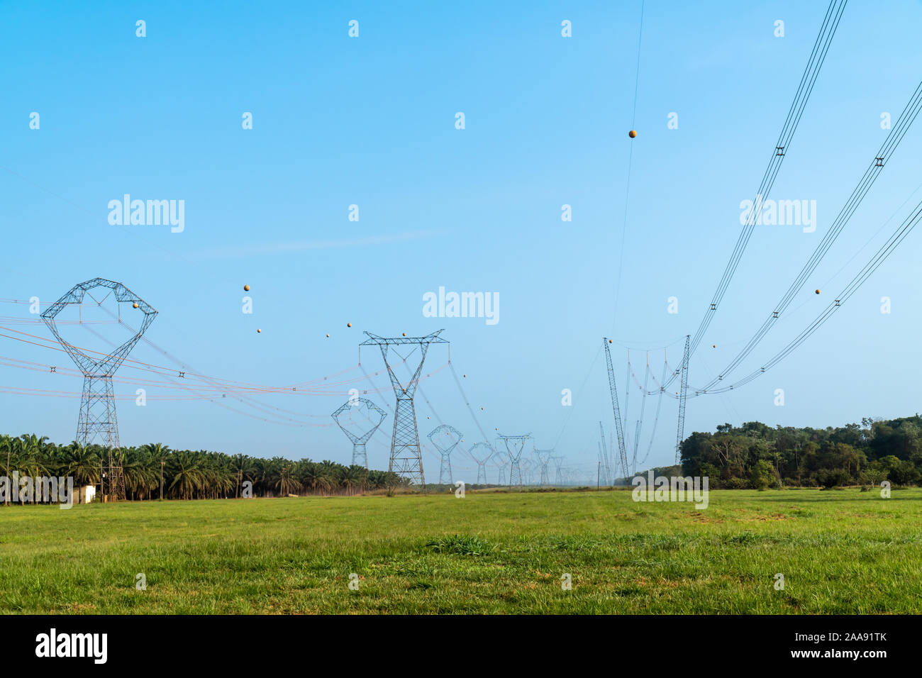 Vue sur la tour de transmission haute tension électrique, les poteaux pylônes électriques et la sous-station de distribution électrique sur la forêt amazonienne, Amazonas, Brésil. Banque D'Images