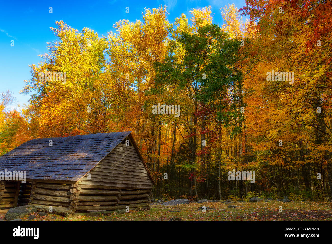 Moteur de Roaring Fork Trail situé dans les Smoky Mountains est de cinq milles de long de la route à une seule voie. Cabines, des ruisseaux et de vastes paysages remplis d'automne Banque D'Images