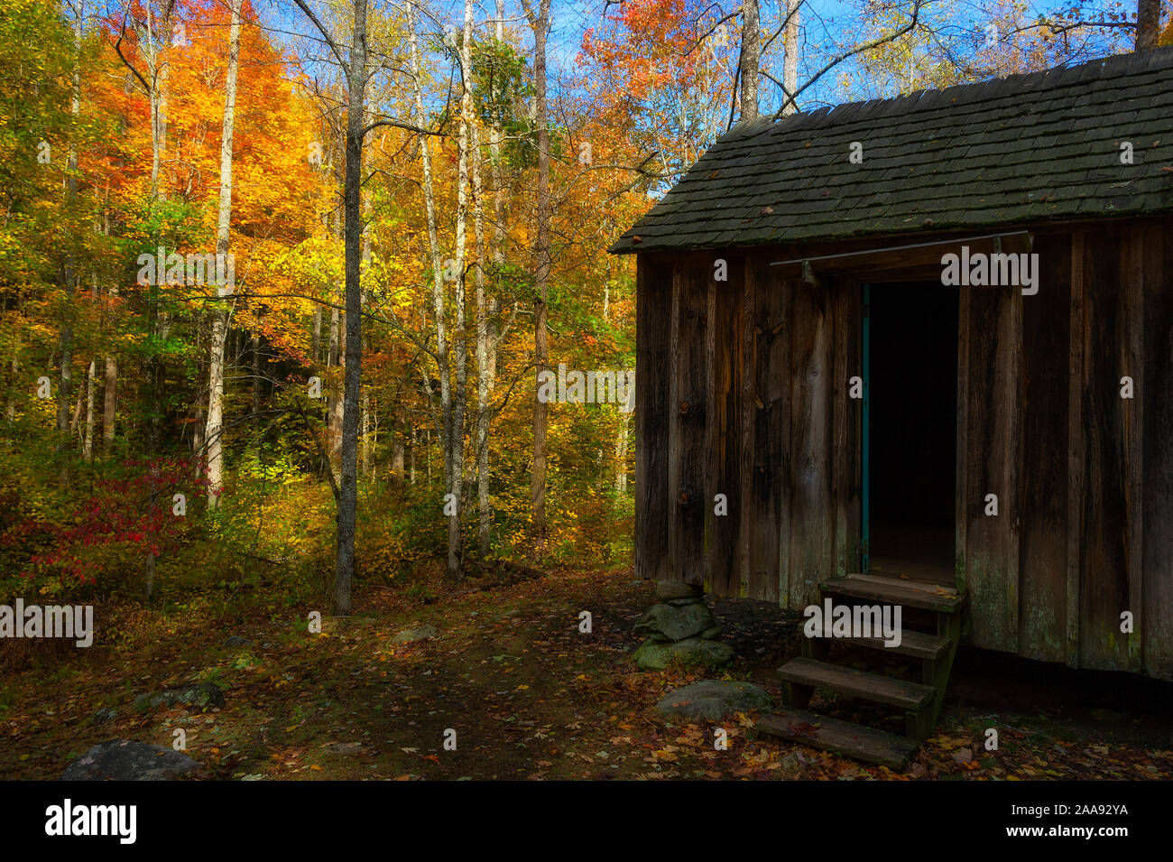 Moteur de Roaring Fork Trail situé dans les Smoky Mountains est de cinq milles de long de la route à une seule voie. Cabines, des ruisseaux et de vastes paysages remplis d'automne Banque D'Images
