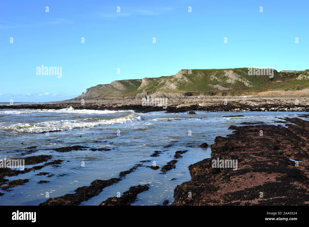 Les falaises et les côtes à marée basse Gower Banque D'Images