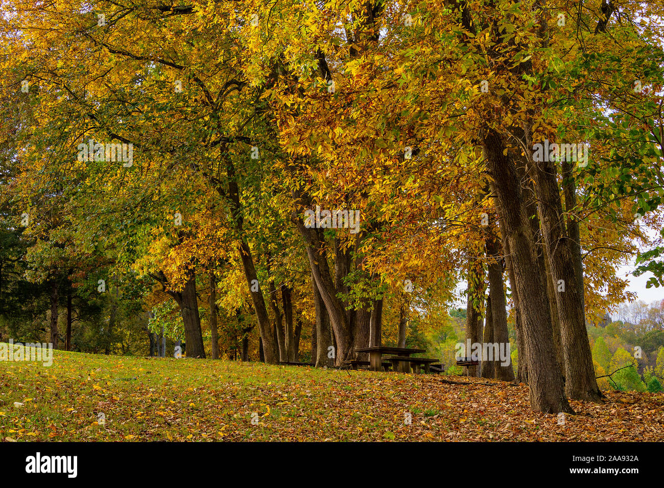 Couleurs d'automne au parc d'état de guerriers situé le long des rives de la Patrick Henry réservoir sur la rivière Holston dans Kingsport, Tennessee Banque D'Images