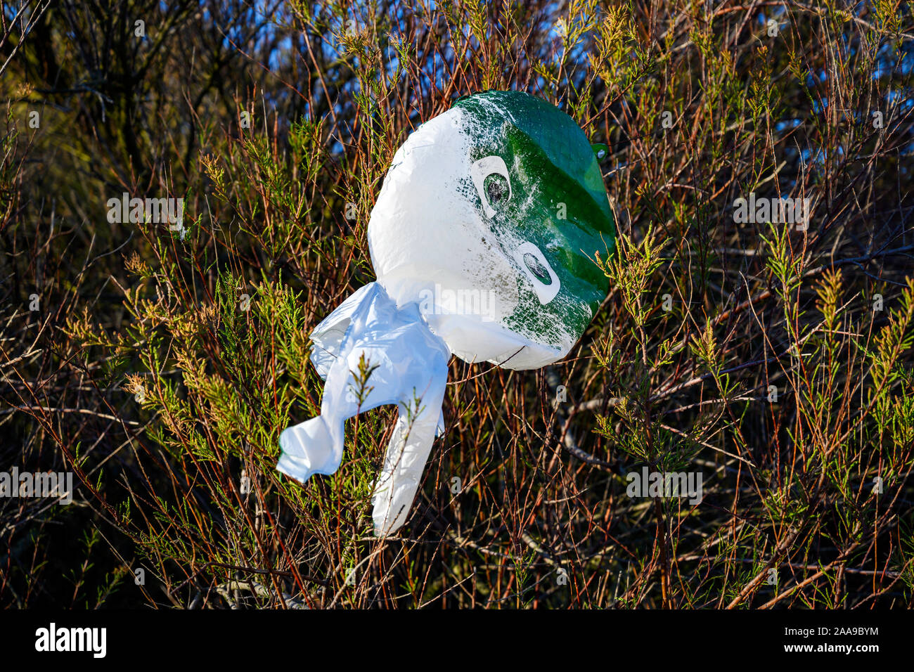 Jouet gonflable en plastique coincé dans les buissons, Bawdsey Ferry, Suffolk, UK Banque D'Images