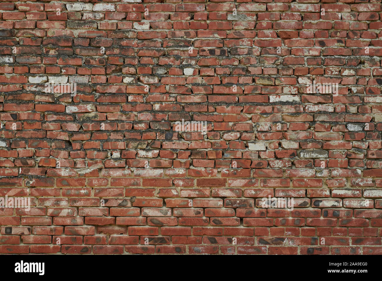 La texture du mur de brique rouge grunge background Banque D'Images