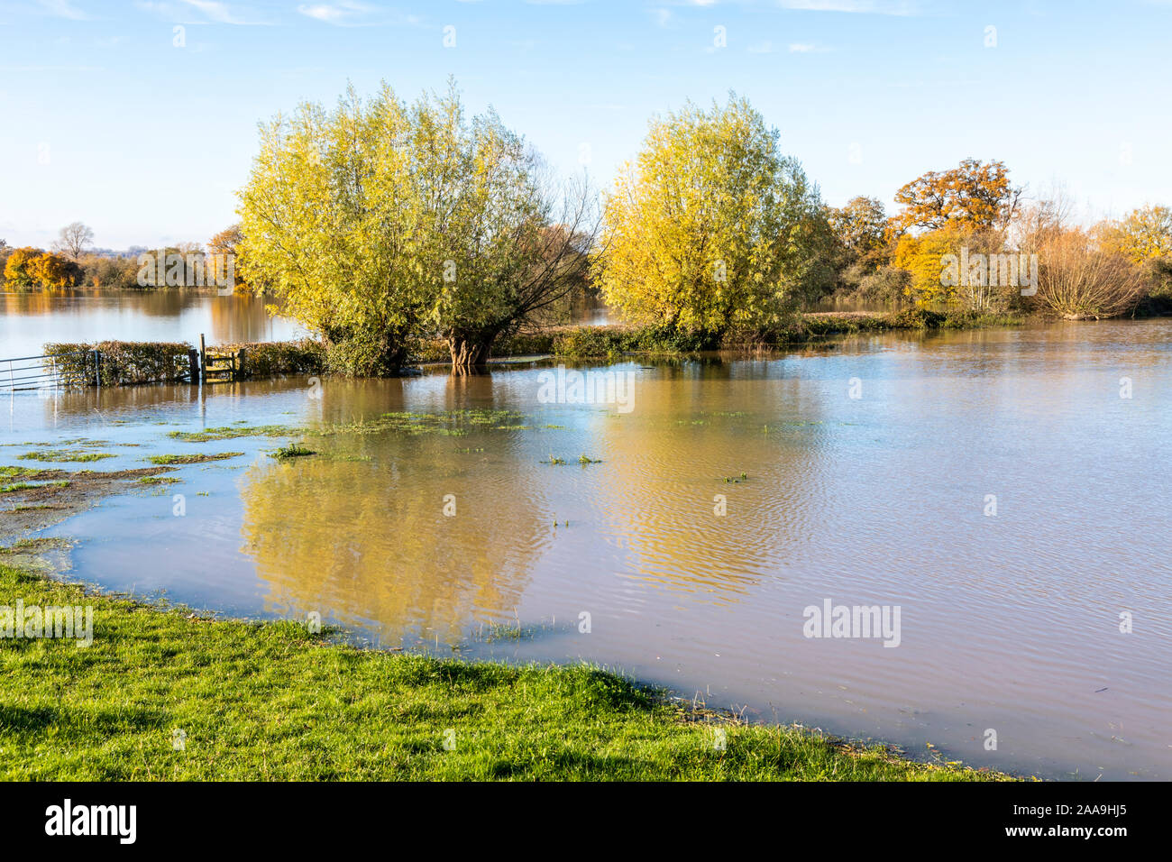 L'eau de l'inondation de la rivière Severn remplissant les champs dans la Severn Vale village de Deerhurst, Gloucestershire UK le 18/11/2019 Banque D'Images