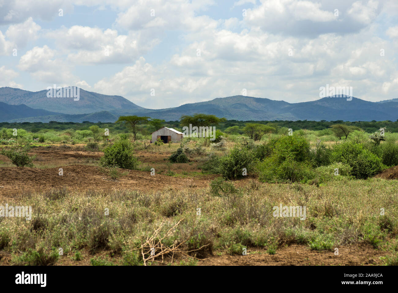 Un bâtiment en métal ondulé entre garrigue et arbres avec des collines en arrière-plan, comté de Kajiado, Kenya Banque D'Images