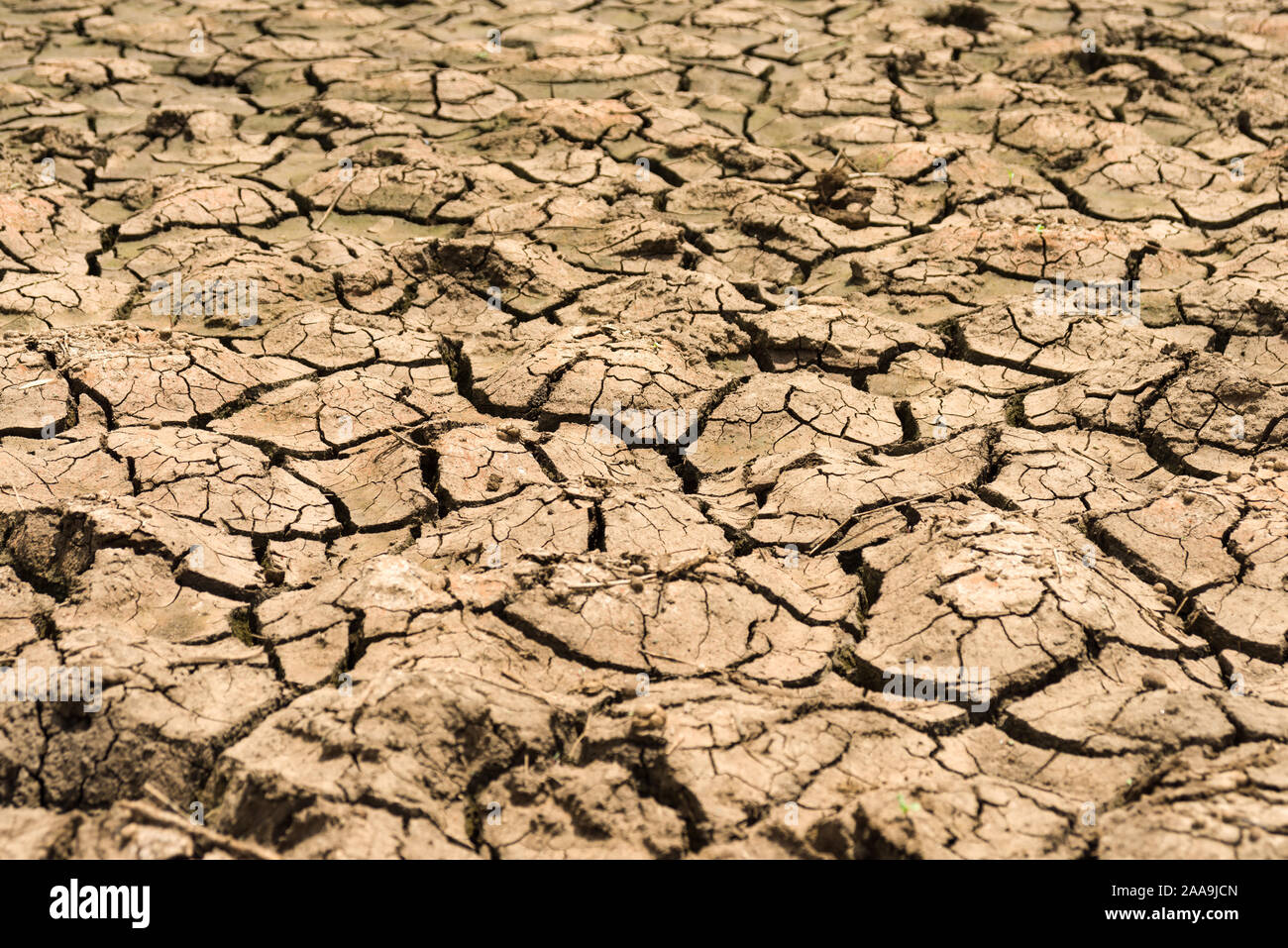 Le lit du lac asséché en raison du manque de pluie, la terre craquelée sec montrant le Kenya, Afrique de l'Est Banque D'Images