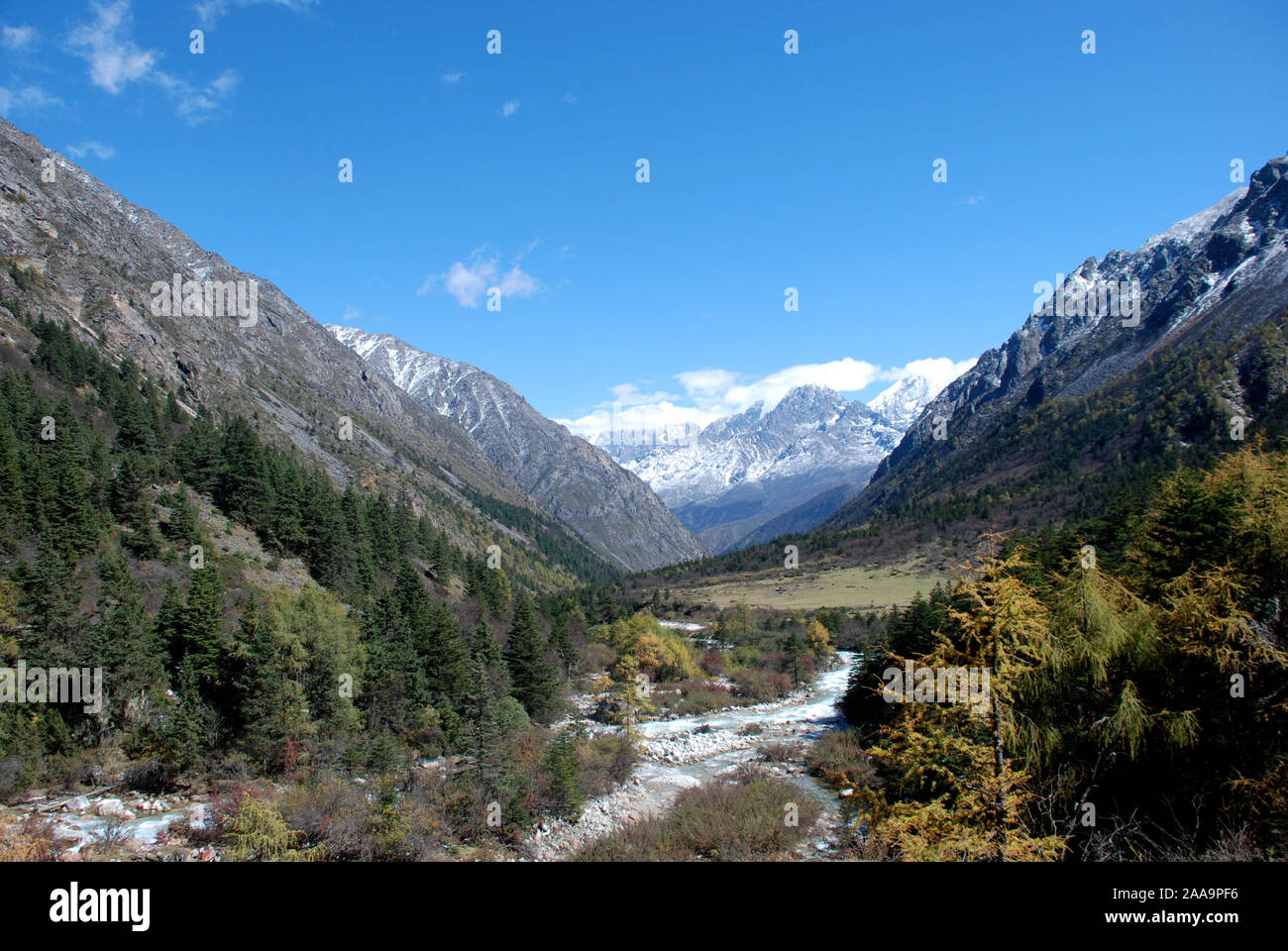 La vallée de Riwoche dans la Daxueshan montagnes de l'ouest de Sichuan en Chine Banque D'Images
