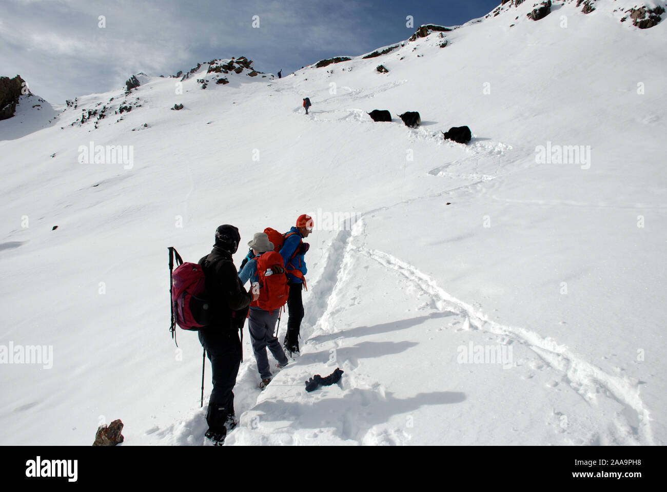 Les randonneurs sur les Buchha Daxueshan La pass dans les montagnes de l'ouest du Sichuan en Chine Banque D'Images