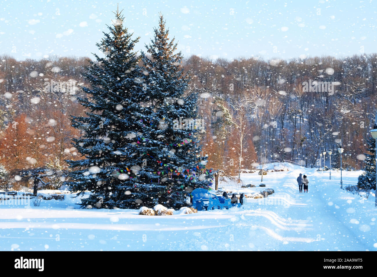 Les arbres de Noël décoré à l'extérieur. Jeune couple walking in winter park près de décoré les arbres de Noël. Temps de neige. Banque D'Images