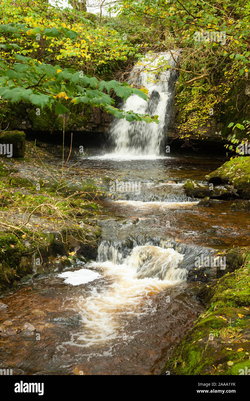 Gastack Beck tombe près du village de la dent dans le Yorkshire Dales National Park, England. Banque D'Images