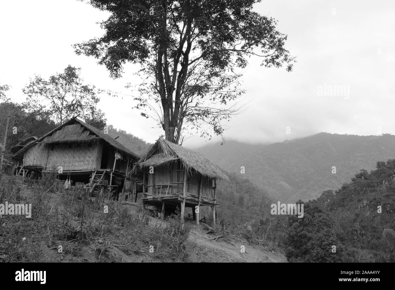 Laos : le Ban Huay Daue Village dans la forêt tropicale le long de la rivière du Mékong Banque D'Images