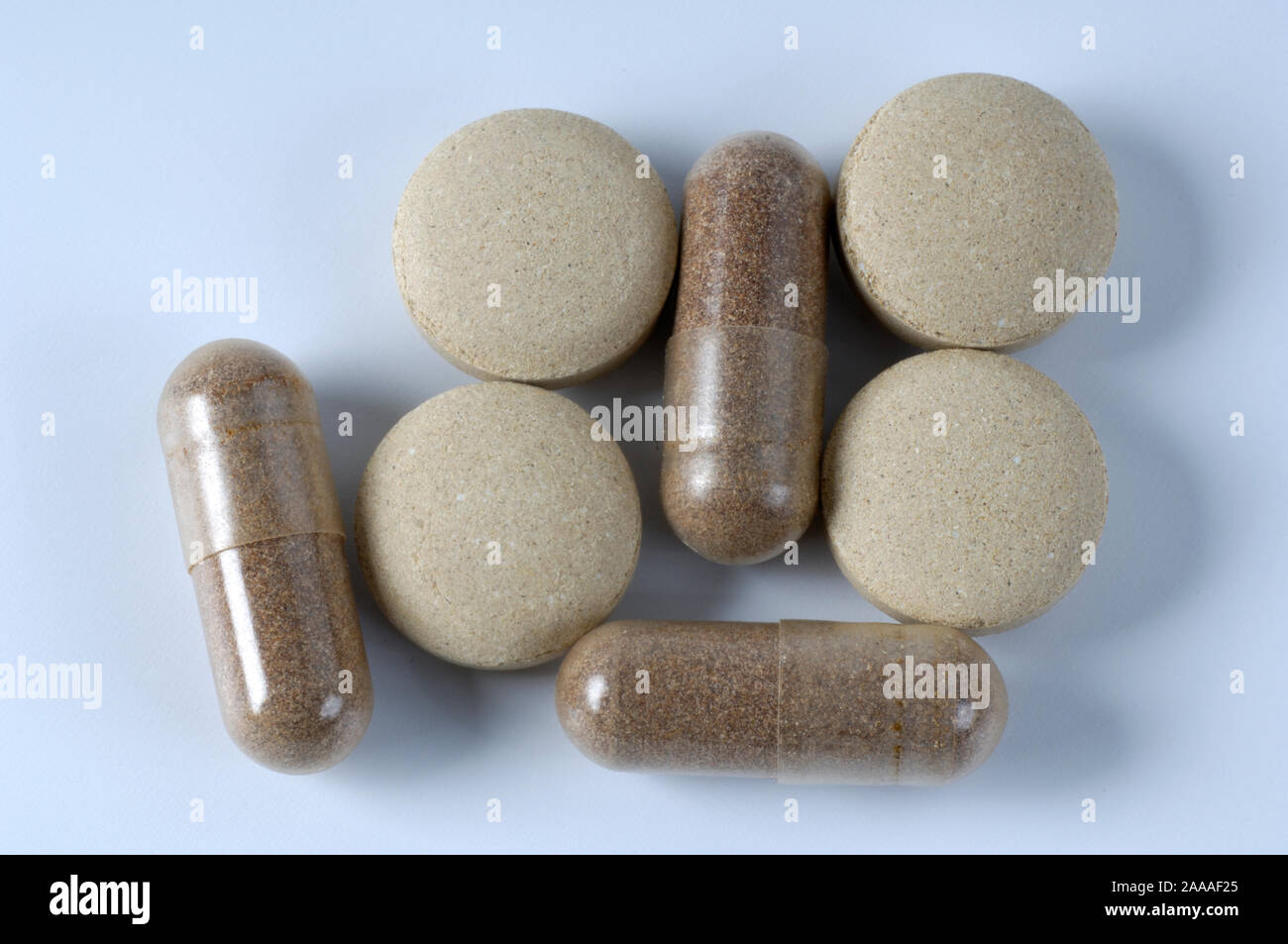 Maitake, pilules, l'homéopathie / (Grifola frondosa) | Klapperschwamm, Tabletten / Maitake (Grifola frondosa) / Heilpilze, Speisepilze, Homoeopathie, Banque D'Images