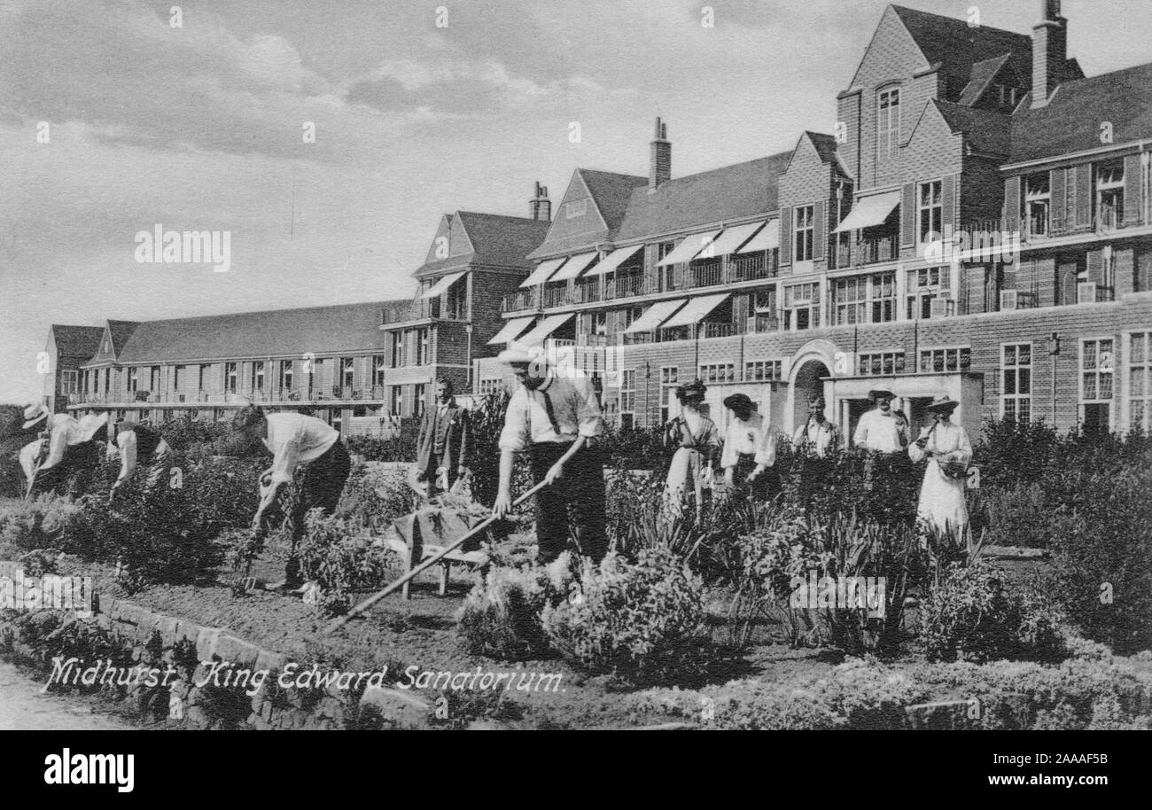 Jardinage, King Edward Sanatorium, Midhurst West Sussex Angleterre, ancienne carte postale Banque D'Images