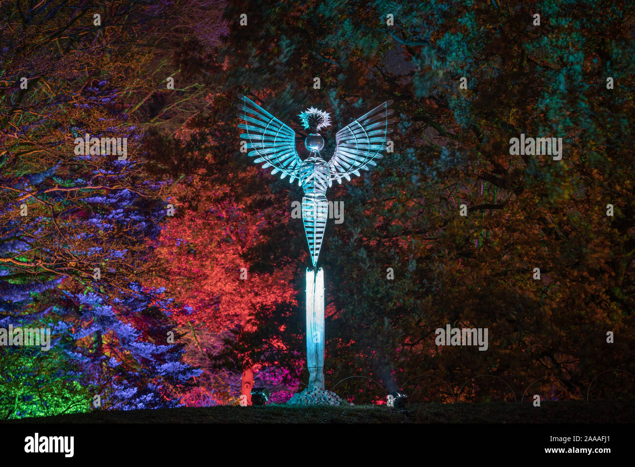 News : RHS Gardens Glow Harlow Carr 2019 Événement, Harrogate, Royaume-Uni. 20 novembre, 2019. Nuit du Sentier lumineux aperçu autour du jardin, les faits saillants, Harrogate, North Yorkshire, UK. Événement ouvre au public le 21 novembre 2019. Credit : pris la photographie lumière/Alamy Live News. Banque D'Images