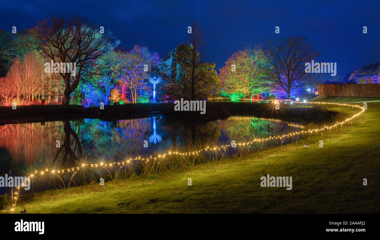 News : RHS Gardens Glow Harlow Carr 2019 Événement, Harrogate, Royaume-Uni. 20 novembre, 2019. Nuit du Sentier lumineux aperçu autour du jardin, les faits saillants, Harrogate, North Yorkshire, UK. Événement ouvre au public le 21 novembre 2019. Credit : pris la photographie lumière/Alamy Live News. Banque D'Images