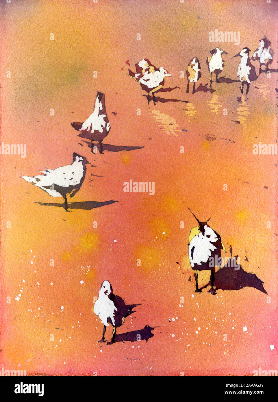 Les bécasseaux sur plage dans les Outer Banks. L'aquarelle d'oiseaux on beach in Outer Banks, Caroline du Nord. L'art d'oiseaux Banque D'Images