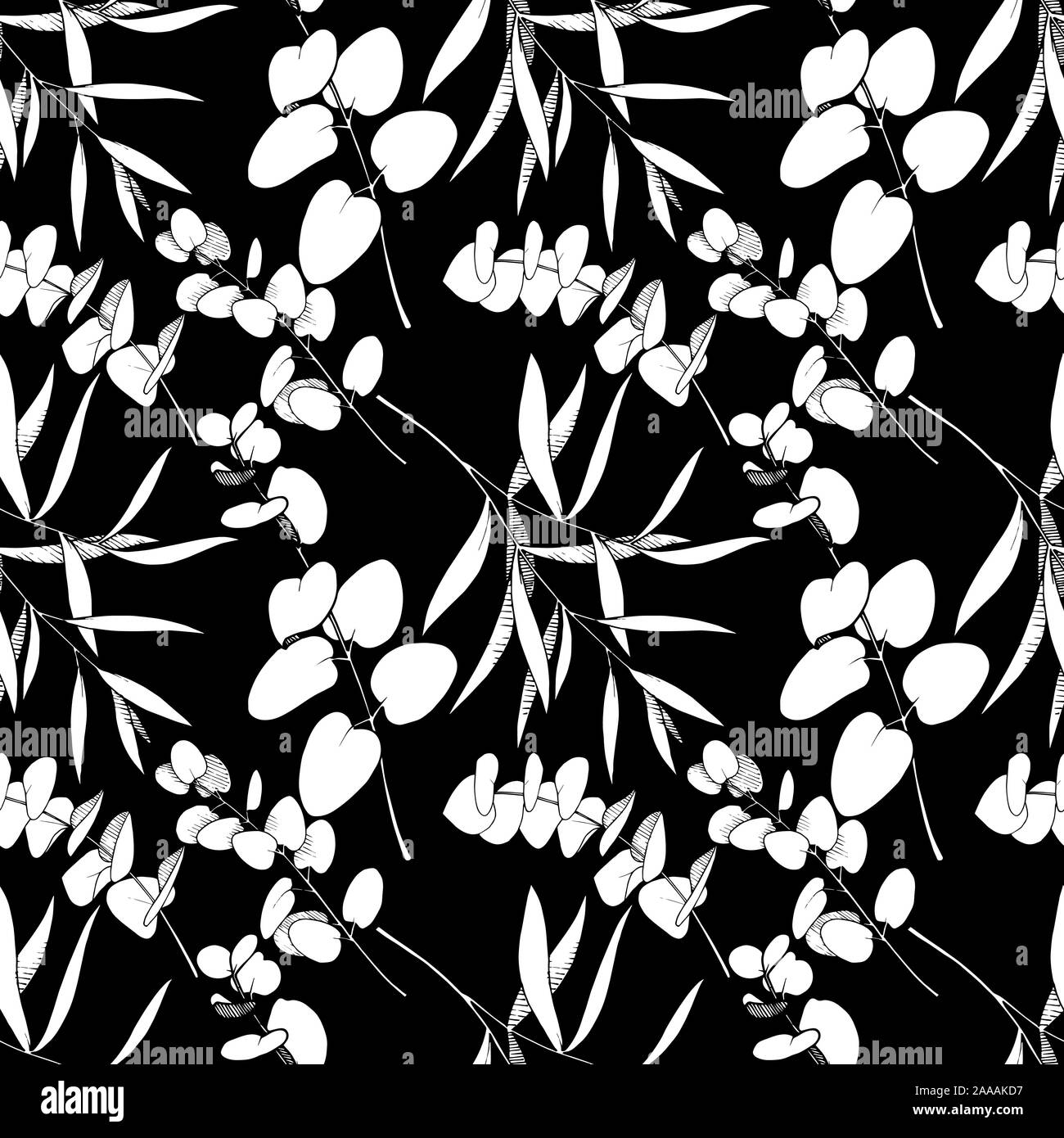 Les feuilles d'Eucalyptus vecteur direction générale. Noir et blanc Encre gravée motif de fond transparente art.. Illustration de Vecteur