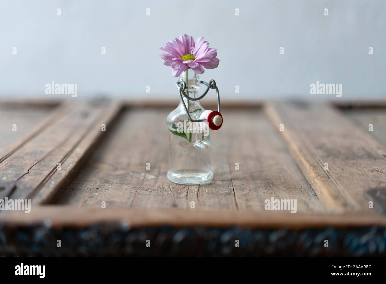 Rose Fleur d'été unique dans une petite bouteille en verre sur un minable en bois en face de guéridons aménagées sur un mur blanc Banque D'Images