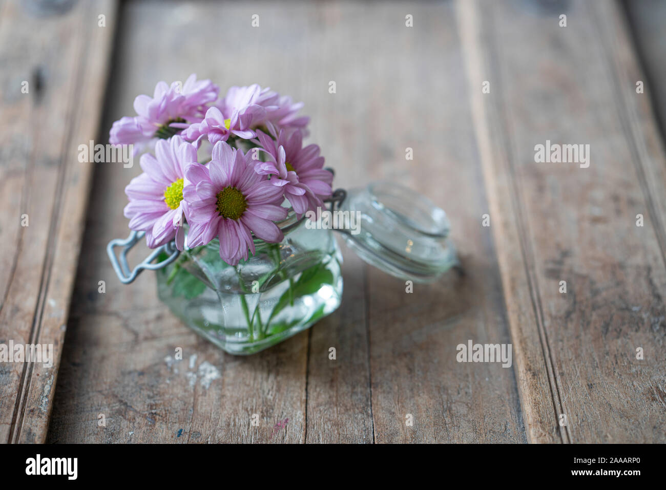 Purple Asters dans un petit vase en verre à partir de ci-dessus, sur un mobilier en bois rustique minable Banque D'Images