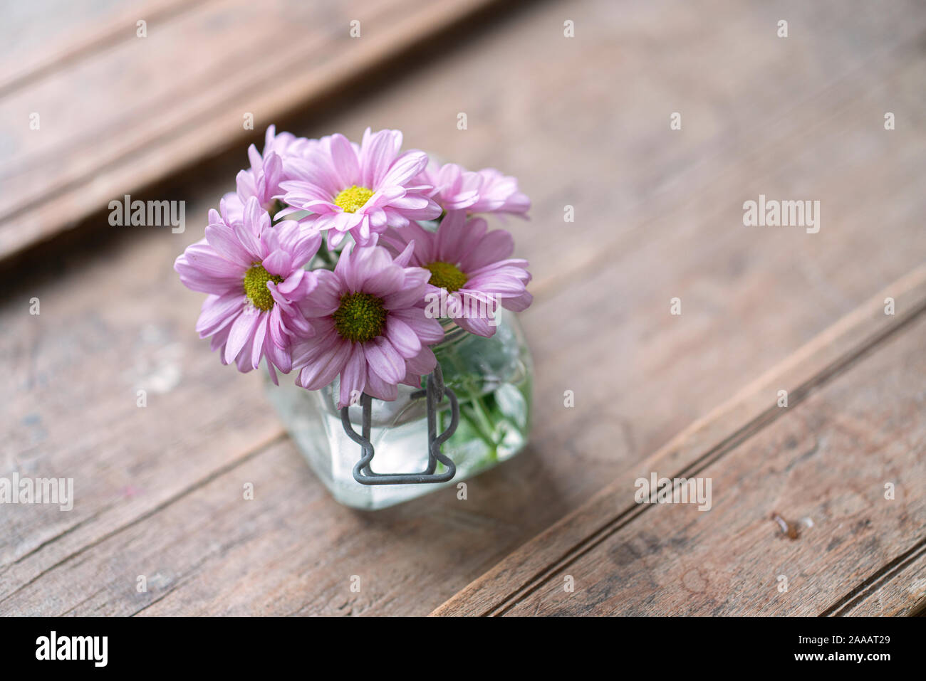 Purple Asters d'en haut dans un petit vase en verre sur un meuble en bois miteux cracky Banque D'Images