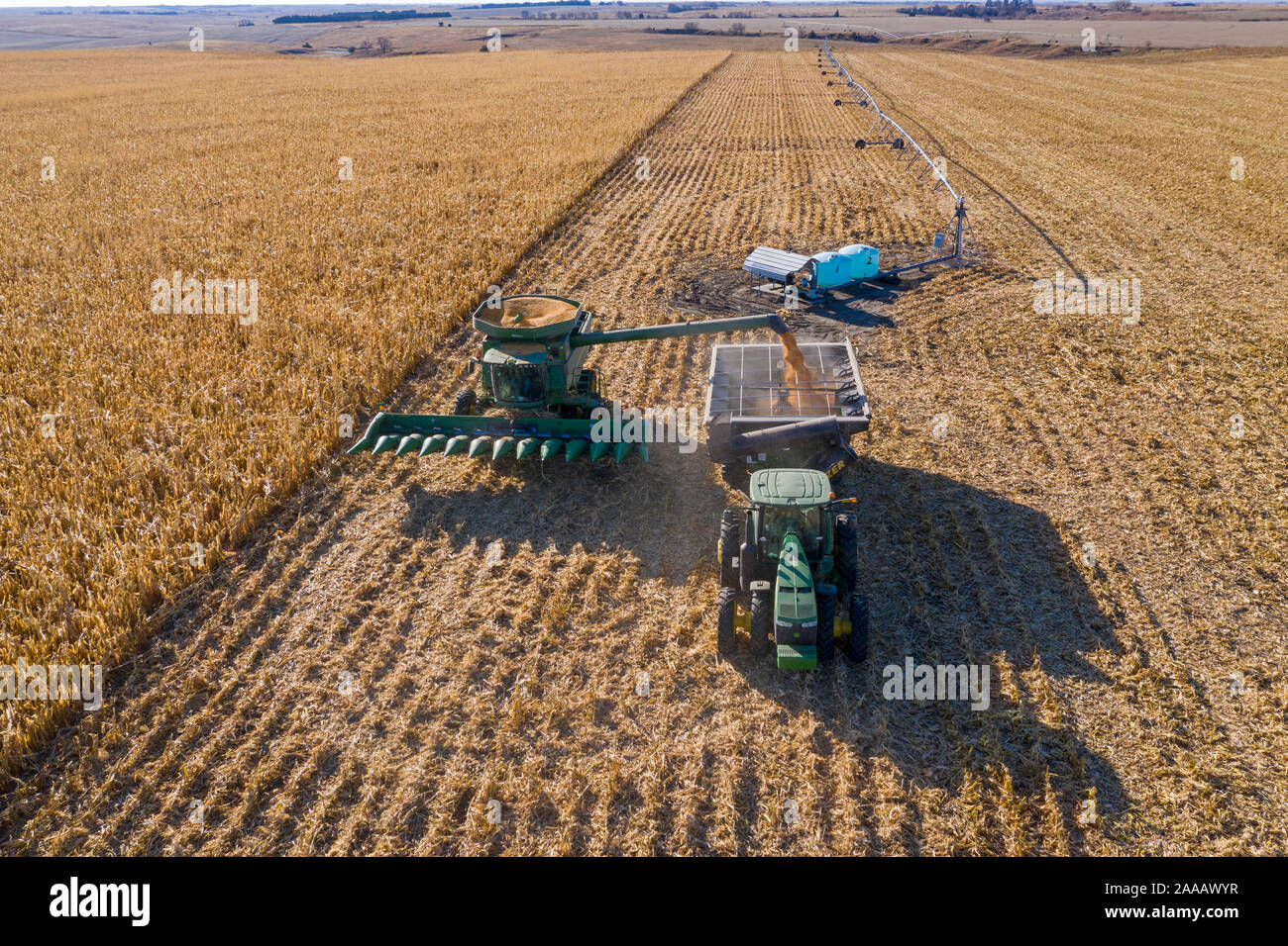 Ragan, Nebraska - Récolte du maïs. Banque D'Images