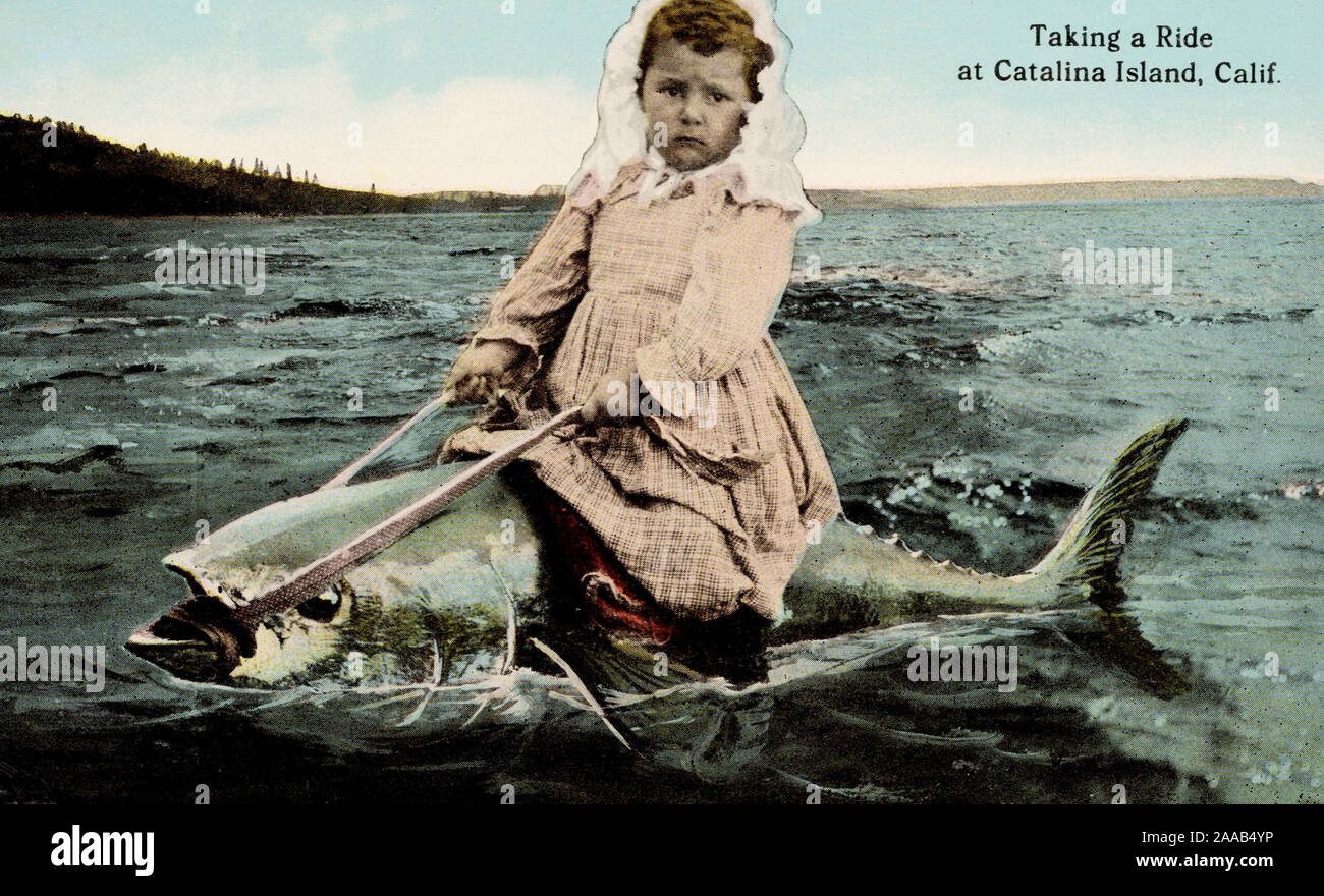 Fille Riding exagérée poisson, Catalina Island CA, vieille carte postale. Banque D'Images