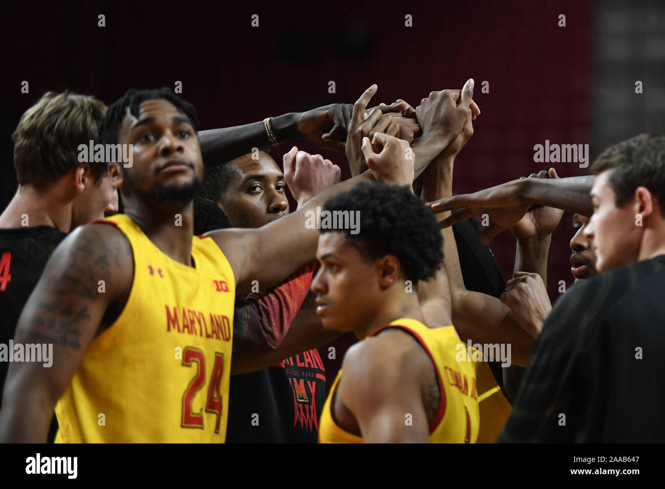 College Park, Maryland, USA. 19 Nov, 2019. Le restaurant Terrapin de joueurs de basket-ball sont réunis au cours de la partie tenue à Eurosport France Centre, College Park, Maryland. Credit : Amy Sanderson/ZUMA/Alamy Fil Live News Banque D'Images