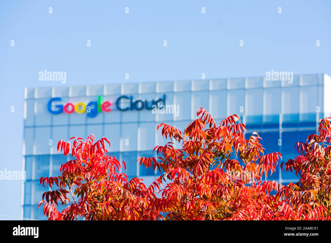 Blur. Automne feuillage lumineux avec Google Cloud floue office building en arrière-plan - Sunnyvale, Californie, USA - 2019 Banque D'Images