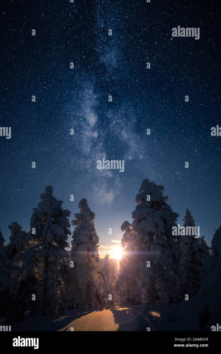 Soleil qui brille à travers les arbres couverts de neige avec voie lactée dans le ciel. C'est deux de droit collage. Banque D'Images