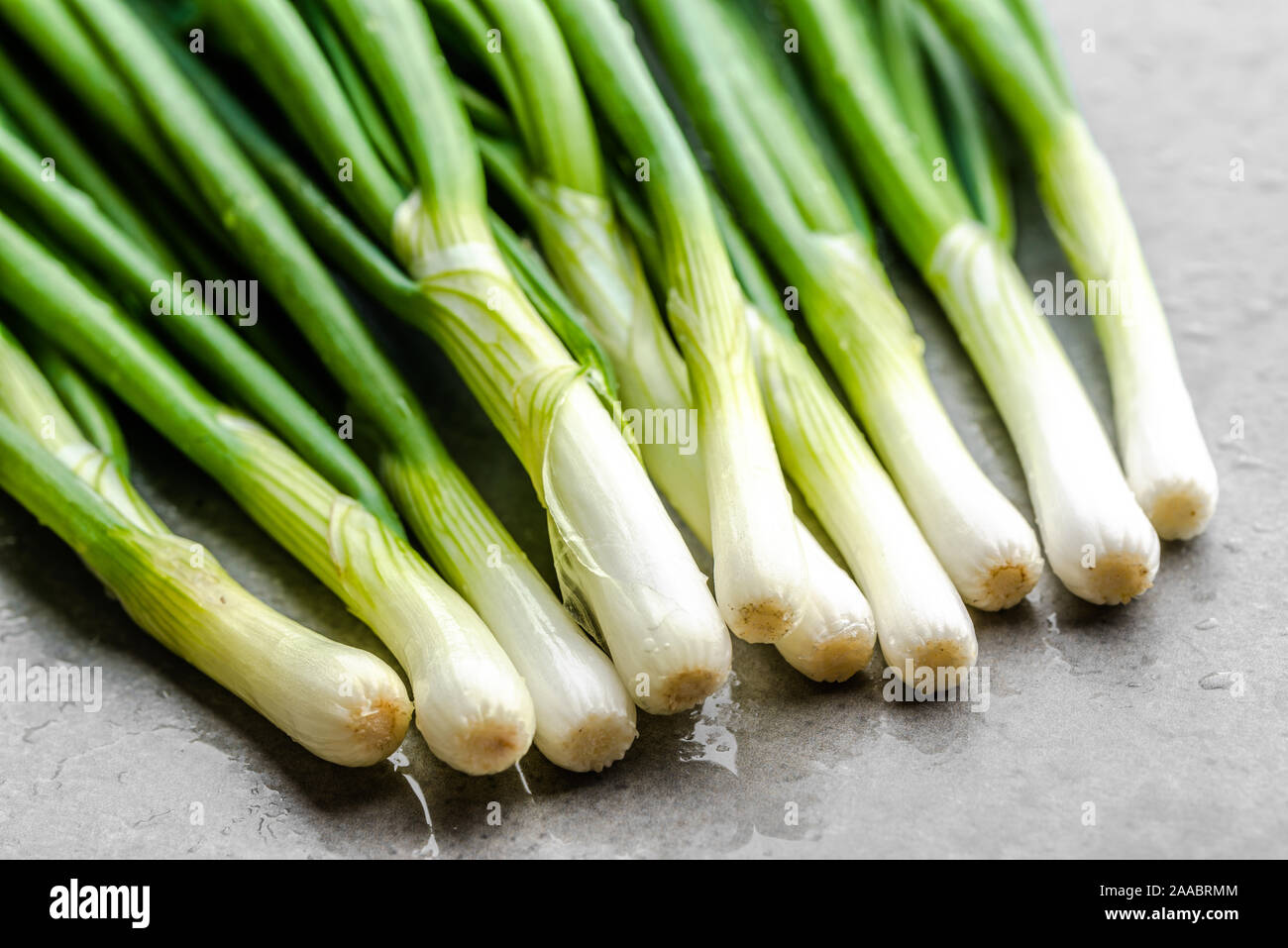 Oignon vert avec de scallion. Les légumes bio du jardin fraîchement récolté Banque D'Images