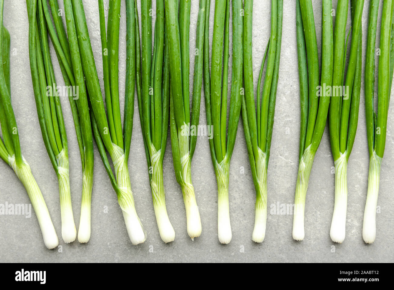 Ciboule fraîche avec green scallion. Les légumes verts biologiques frais de la ferme, mise à plat, vue du dessus. Banque D'Images
