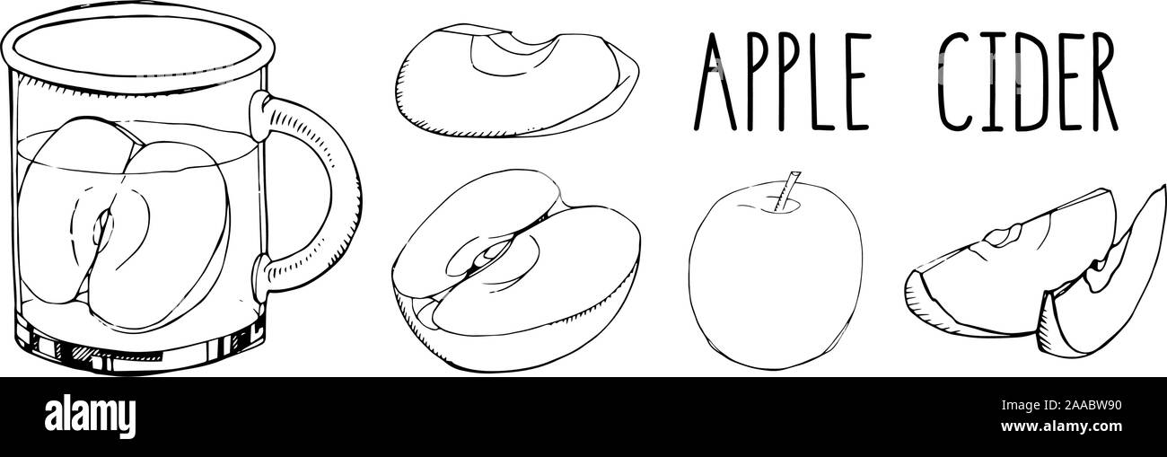 Ensemble d'éléments du vecteur dessiné à la main isolé sur blanc. Cidre de pomme aux épices et fruits isolé sur blanc. Boissons alcoolisées d'hiver populaire. Ch Illustration de Vecteur