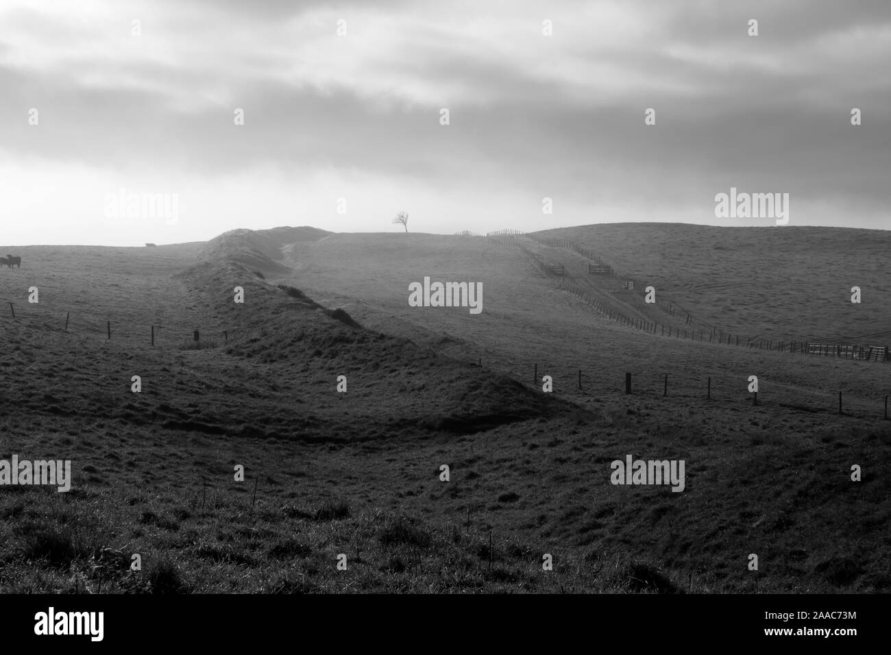 Offa's Dyke sur Llanfair Hill, Shropshire, England, UK Banque D'Images