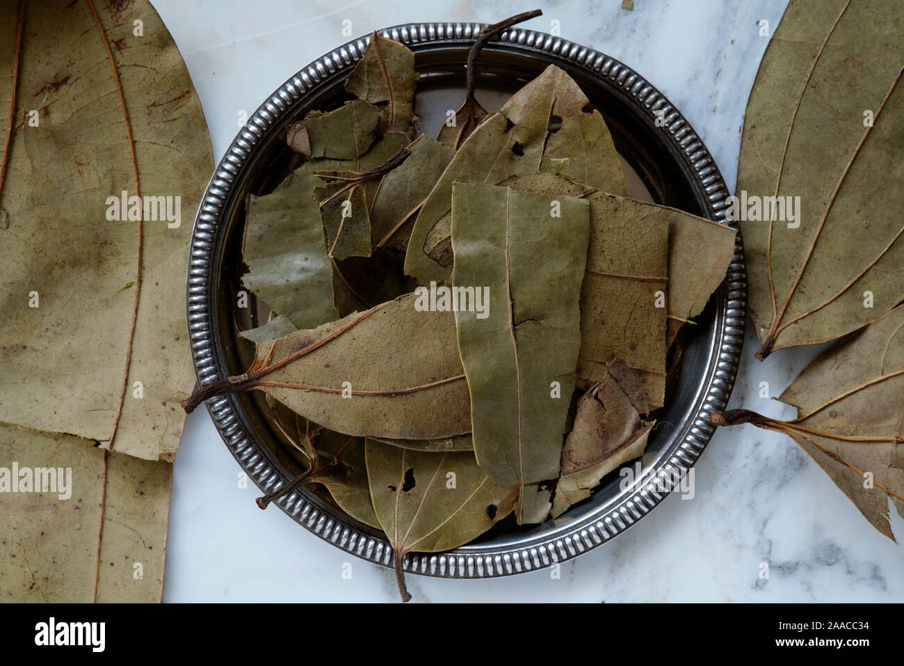 Les feuilles séchées de la cannelle, de l'Inde, l'Asie Banque D'Images