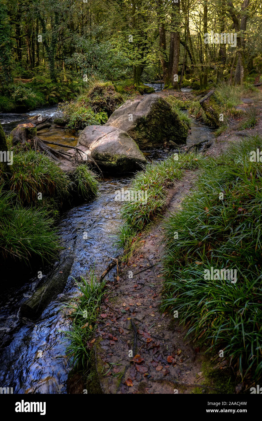 La rivière Fowey circulant dans l'ancienne forêt de chênes d'Draynes à bois Golitha Falls, à Cornwall. Banque D'Images