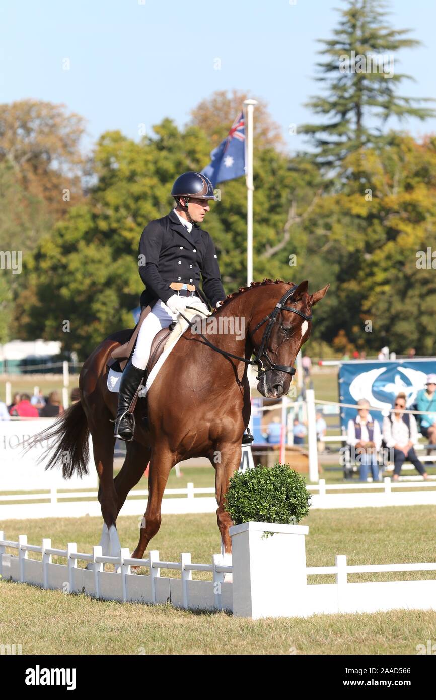 Christopher Whittle équitation Kilwaughter lame dans le dressage Banque D'Images