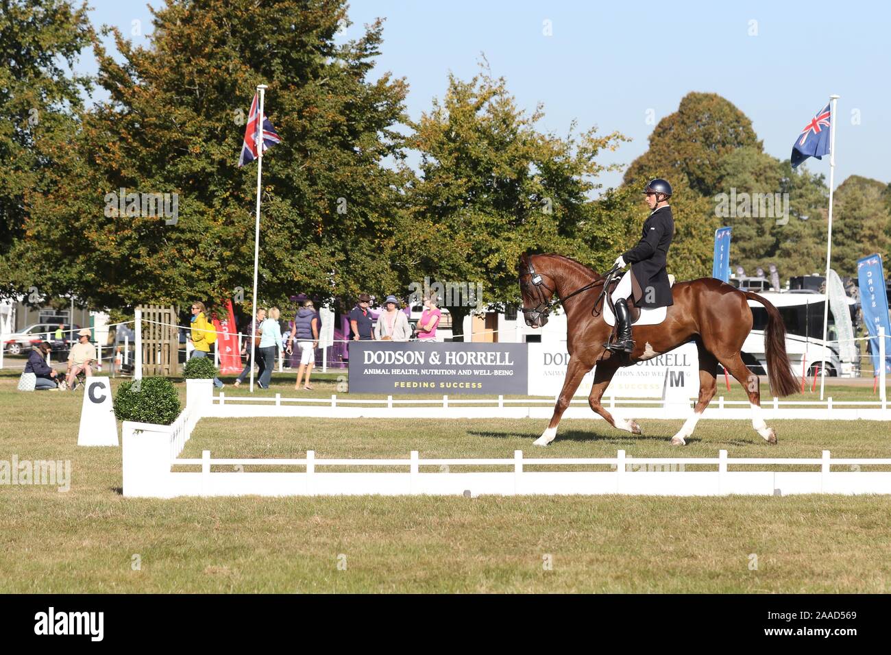 Christopher Whittle équitation Kilwaughter lame dans le dressage Banque D'Images