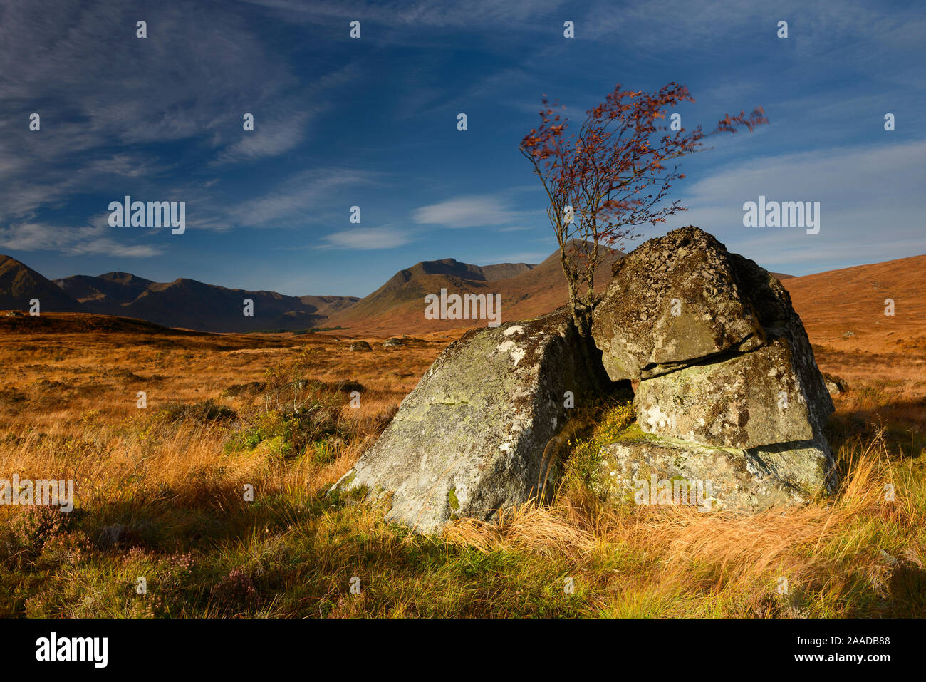 D Schottland-Isle Skye-Rannoch Moor Banque D'Images