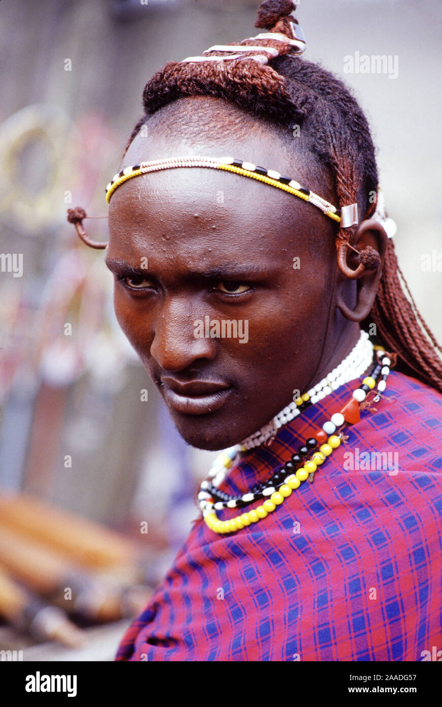 Massai aîné, Tanzanie, dans village Massai, Serengeti National Park, Kenya, Kenya Banque D'Images