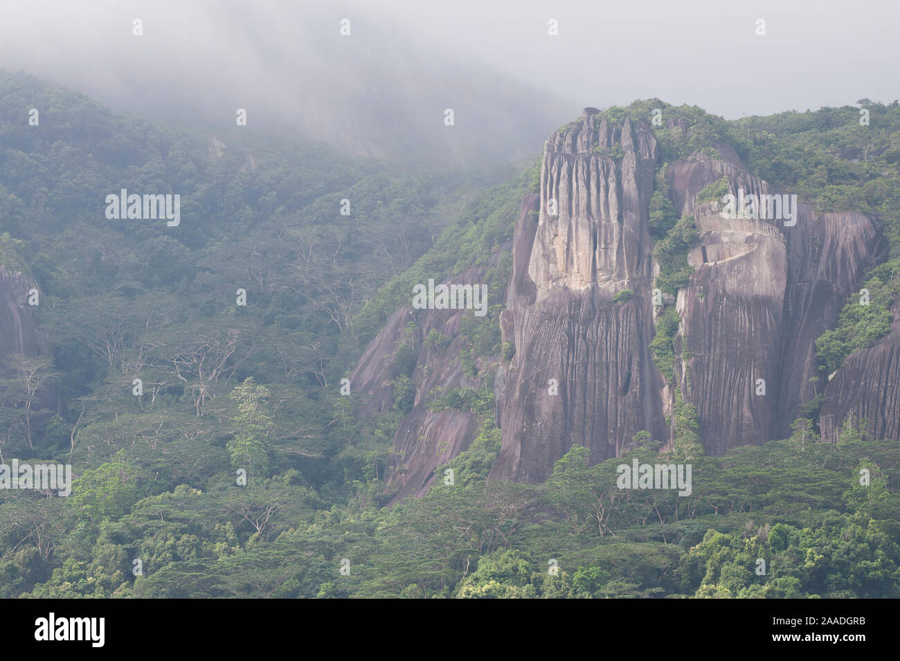 Les forêts tropicales vierges et granite abruptes dans la brume, parc national de Morne Seychelles, l'île de Mahé, République des Seychelles Banque D'Images