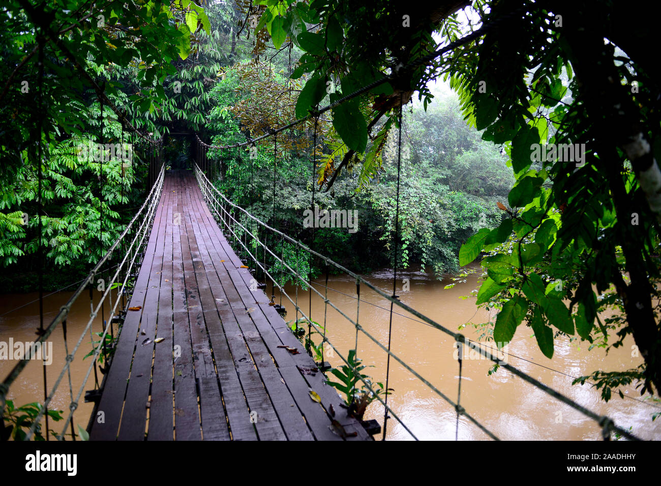 Pont suspendu sur la rivière, entrée au Parc national du Gunung Mulu Site du patrimoine naturel mondial de l'UNESCO, Bornéo Malaisien. Banque D'Images