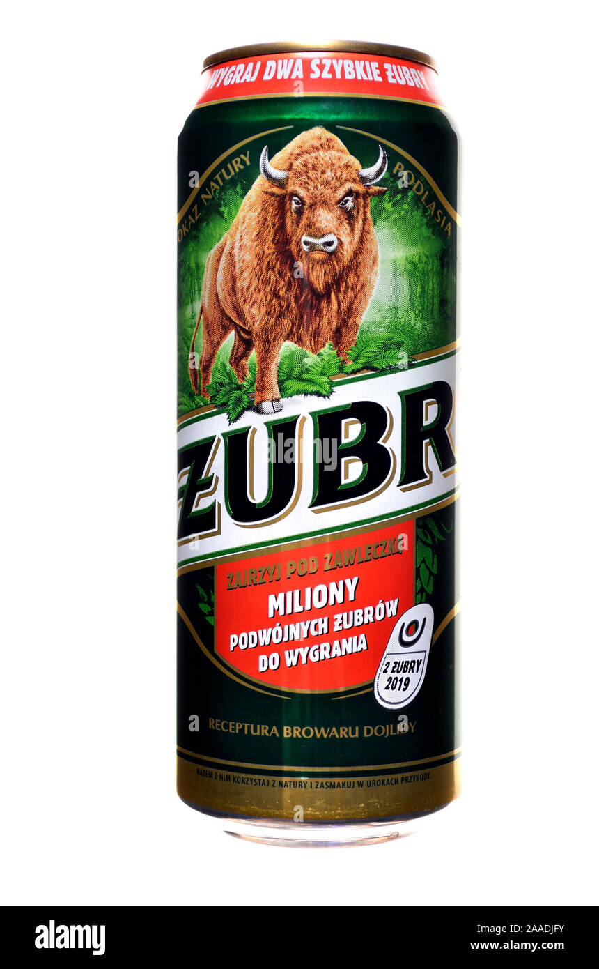 Polish beer can - Zubr lager Banque D'Images