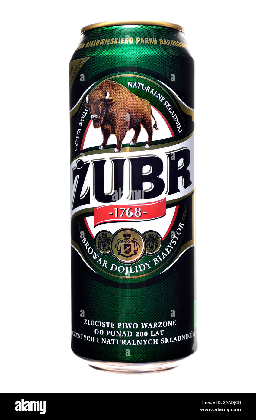 Polish beer can - Zubr lager Banque D'Images