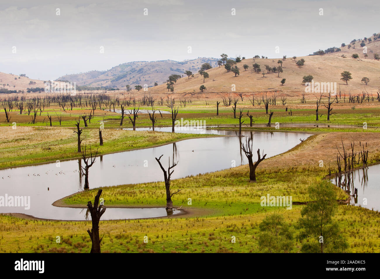 Du lac Hume, le plus grand réservoir en Australie au cours de la sécheresse qui a duré de 1996-2011. Dans cette image l'eau était à 19,6 % à la capacité, mais à sa pire point, il était à 2,1 % de Nouvelles Galles du Sud, Australie. Février 2010. Banque D'Images