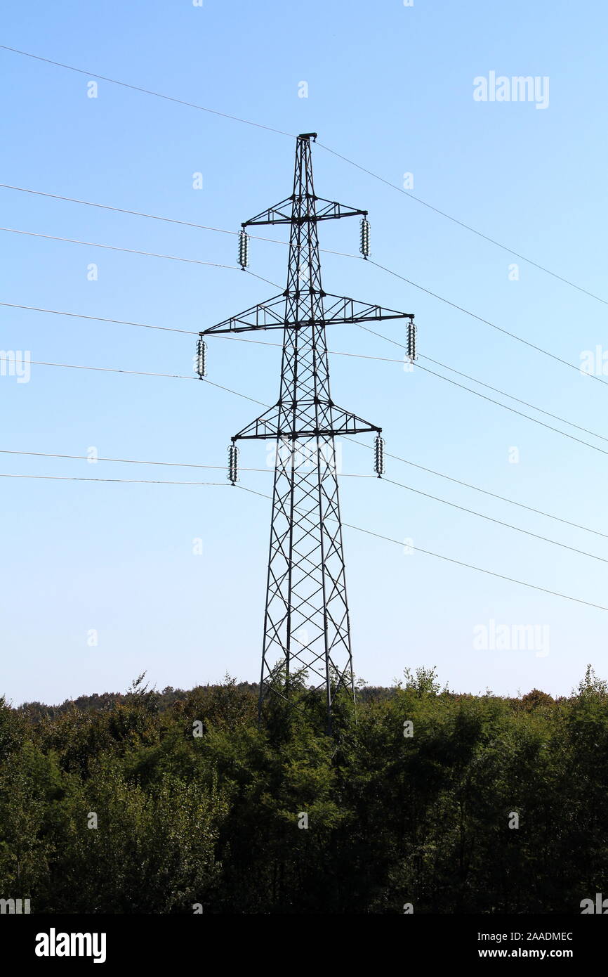 L'utilitaire de ligne de puissance importante mât, de tuyaux en métal avec des fils électriques connectés avec hauteur ; les isolateurs en verre situé juste au-dessus de la forêt dense sur transparent Banque D'Images